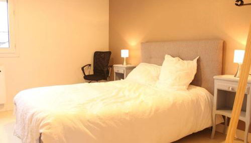 Flexy - T2 - L' Agate Grise - Le Mans - Foto 3