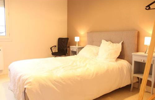 Flexy - T2 - L' Agate Grise - Le Mans - Foto 3