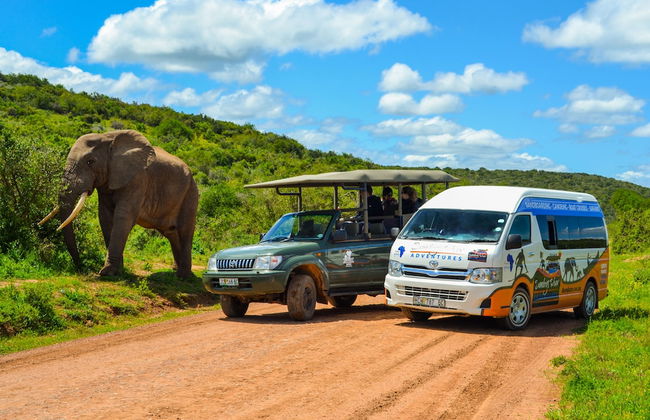 Maggie May House Boat - Foto 10