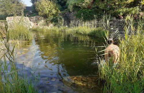 Wohnung am Schwimmteich - Foto 18