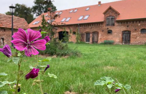 Ferienhof Weitblick - Foto 1