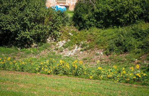 Apartman Kalić - Foto 37