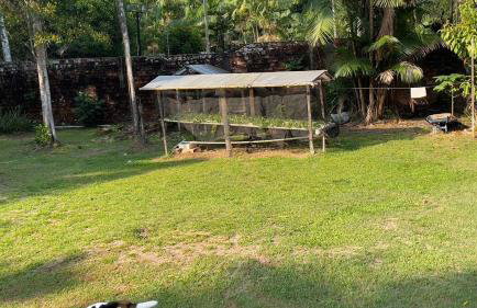 COP30 - Belém - Refúgio perfeito em Benfica-Pará - Photo 28