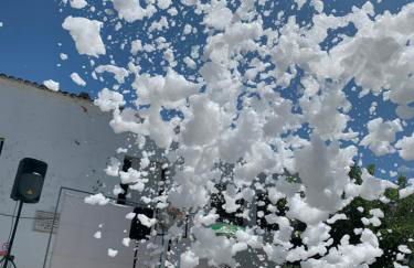 La Apañaora - Foto 45