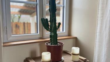 Gîte de caractère La Tanière Campagne, Puy duFou - Photo 5