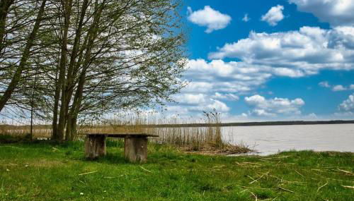 Ferienhaus Goldene Zeit I Terasse I Parkplatz I 3 SZ I 2 Bäder I 2 min zum See - Foto 4