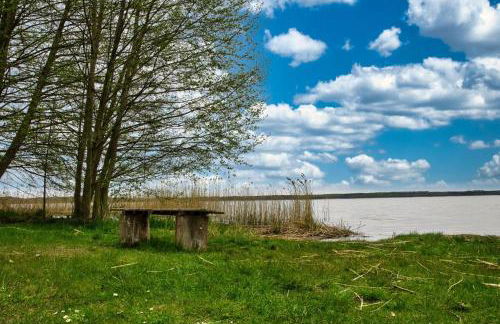 Ferienhaus Goldene Zeit I Terasse I Parkplatz I 3 SZ I 2 Bäder I 2 min zum See - Photo 4