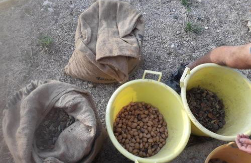 Agriturismo Casebianche - Foto 7