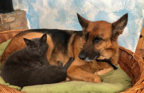 Gutshof Dragefeld - Foto 22