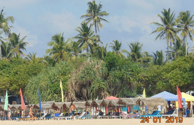 Sri Lankan Villa - Photo 62