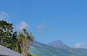 Lava Homes - Photo 27