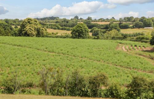 Phocle Ridge - Foto 40