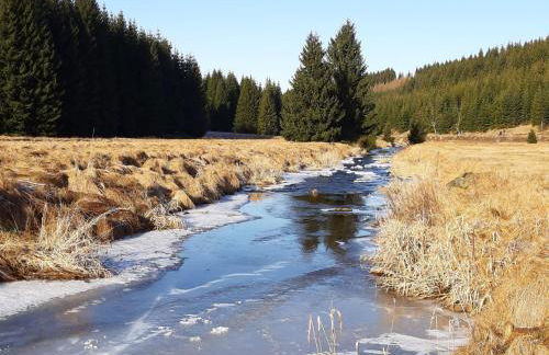 Ferienhaus am Erzgebirgskamm - Foto 20