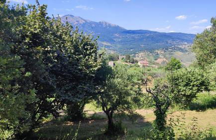 Holiday Country House - Trecchina - Foto 27