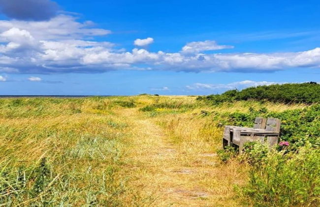 4 Person Holiday Home in Haderslev - Foto 25