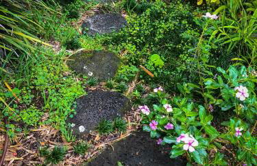 Gingerhill Farm Retreat - Foto 59