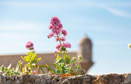 La Vedette - Les Gîtes de KEROUZEC - Mer et centre historique - Foto 28