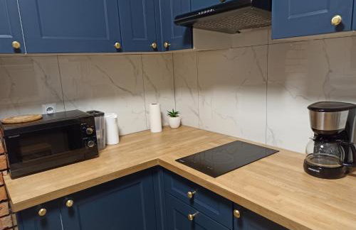 Mini house - apartament, domek do wynajęcia - Foto 11