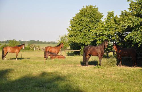 FEWO Reitanlage bei Altefähr - Foto 35