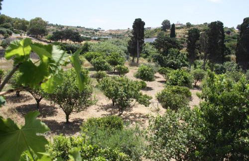 Kalypso Apartments - Foto 15