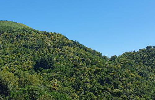 Holiday Home Villa 'Monticello' mit eigenem Pool by Interhome - Foto 38