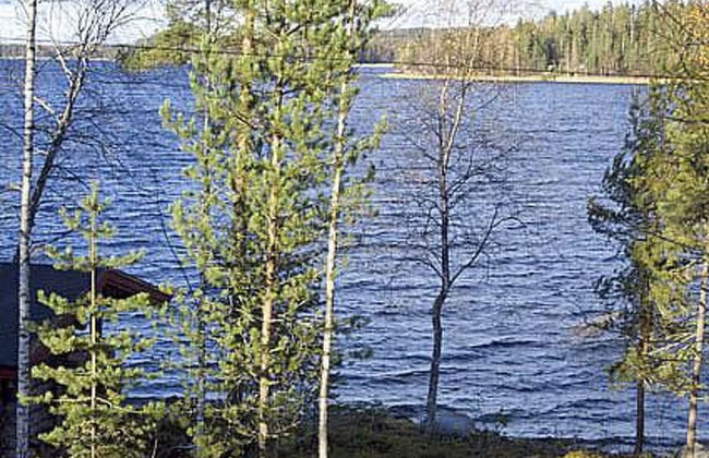 Villa kuotaa - Foto 17