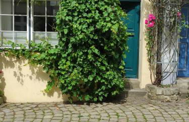 Altstadtnest - Foto 1