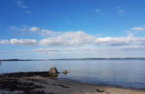 Ostsehbutzen - Foto 6