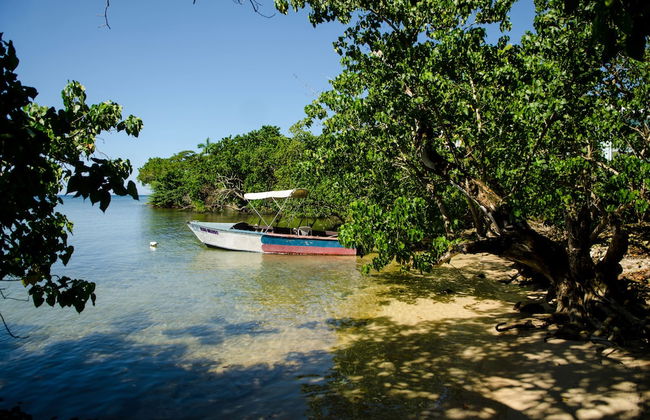 Seas the Day Sanctuary Little Bay - Photo 26