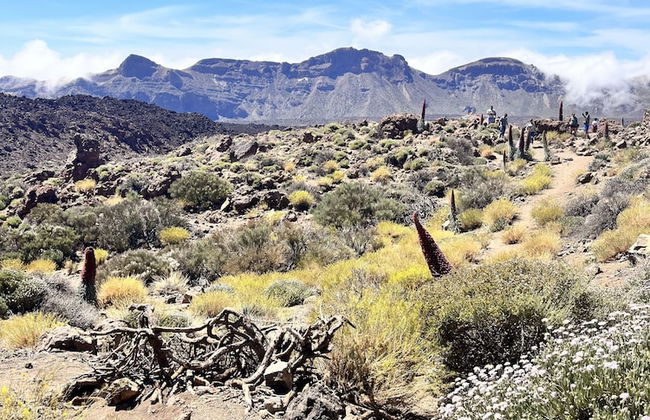 Casa Salvia - Rural Holiday Home - Foto 58