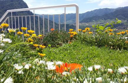 Casa Shalom - Foto 17