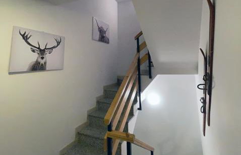 Apartaments Albiñana - Foto 19