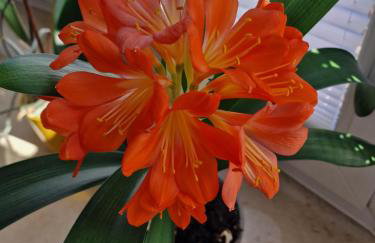 Schöne Ferienwohnung im Herzen Aurichs - Foto 30