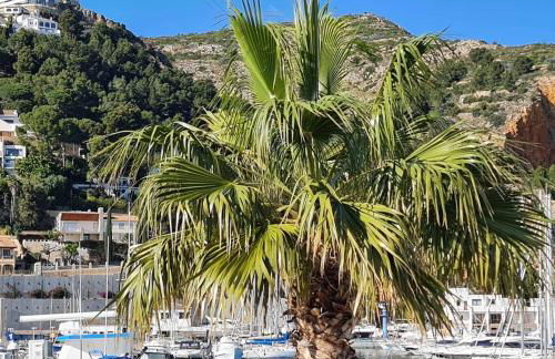 Libertad 36 - Foto 29