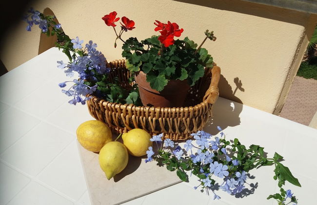 Villa Calendula - Foto 50