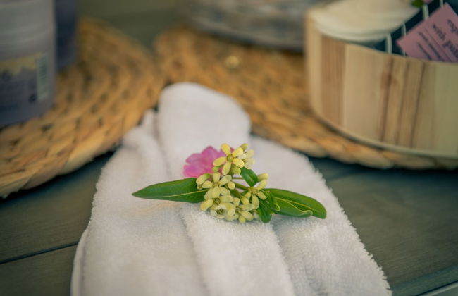 Artina Luxury Villa - Photo 14