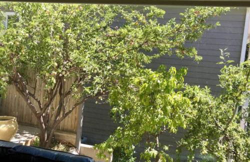 Capitol Retreats-views! Near Salt Palace,sleep 28 - Foto 31