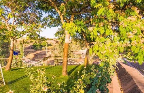 Casas Rurales Alhambra - Lagunas de Ruidera - ESPECIAL GRUPOS - Foto 8