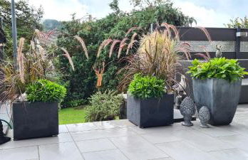 Ferienwohnung am Wintersberg - Foto 78