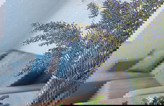 Coconut Apart - Foto 13