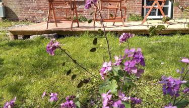 Ferienhof Röhe - Foto 4