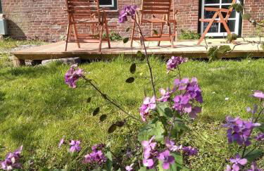 Ferienhof Röhe - Foto 4