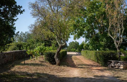 Apartments with parking space Sveti Lovrec, Central Istria - Sredisnja Istra - 24888 - Foto 6