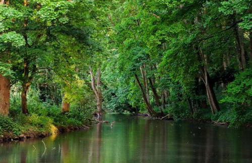 The Old Cowshed - Foto 20