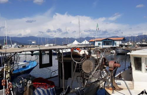 Il sughereto - Foto 16