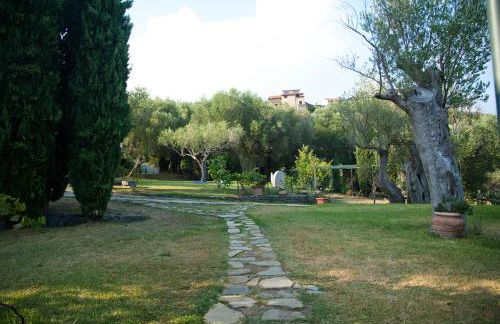 Pie' d'Ulivo - Foto 88