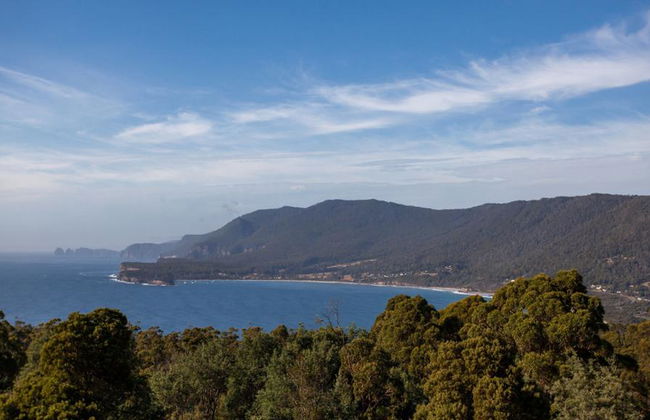 Port Arthur et le Diable de Tasmanie - Excursion d'une Journée - Photo 6
