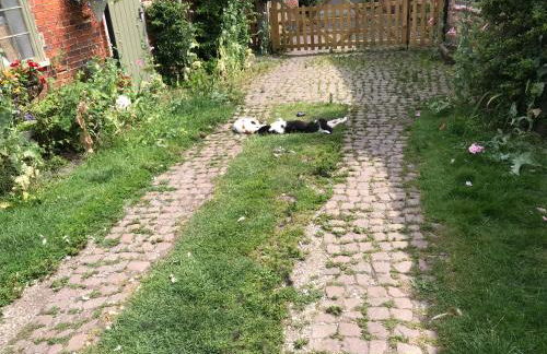 Bottesford Cottage - Leicestershire - Foto 18