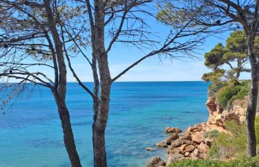 Résidence Maëlla - Foto 66