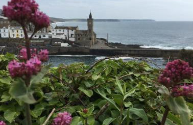 White Willows - Photo 22